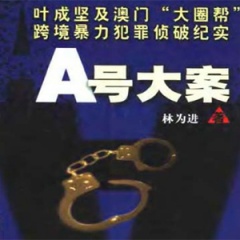 A号大案