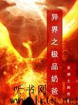 异界之极品奶爸