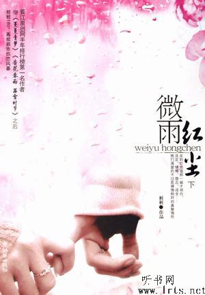 微雨红尘（下）