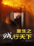 重生之贼行天下