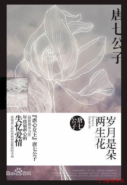 岁月是朵两生花—双人版