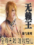 无赖王（第三部）
