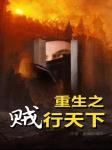 重生之贼行天下