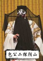 包公二探阴山