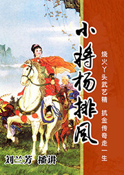 小将杨排风